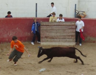  Organization of capeas in Logroño 